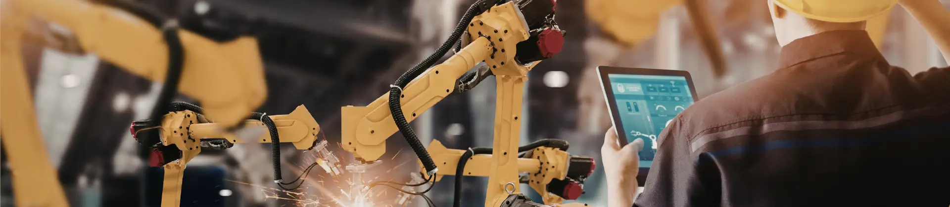 website slider (6).webp